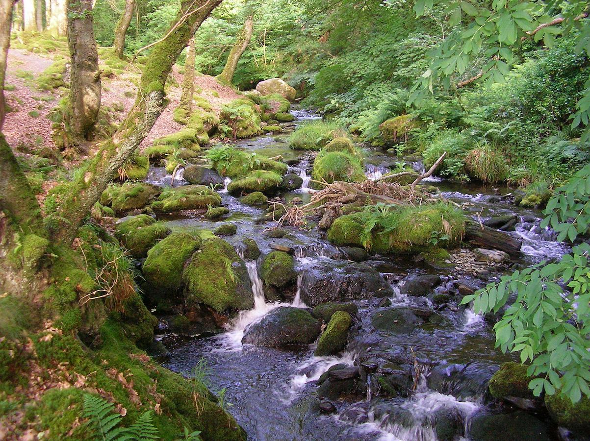 The Dolgoch Bryn-crug Exterior foto