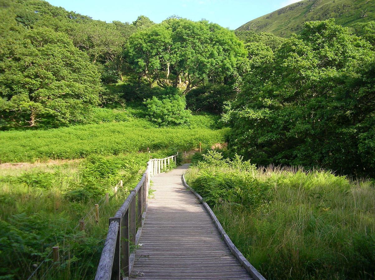 The Dolgoch Bryn-crug Exterior foto